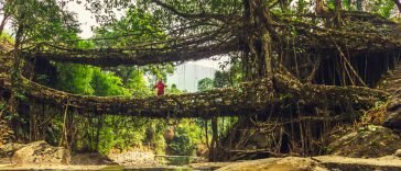 Shillong
