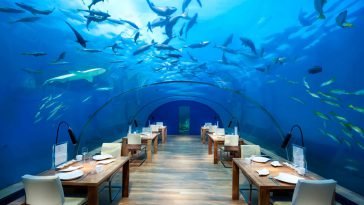 Undersea Restaurant Maldives