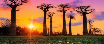Madagascar