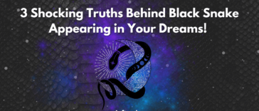 Black Snake and the moon - Dream interpretation of Black Snakes.