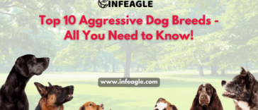 Aggressive Dog Breeds